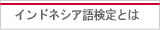 インドネシア語検定とは