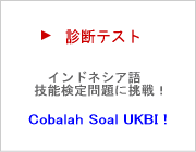 インドネシア語技能検定試験 公式過去問題集 C・D・E級 公式過去問題集 取扱店